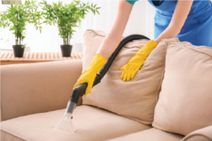 Upholstery Cleaning 100
